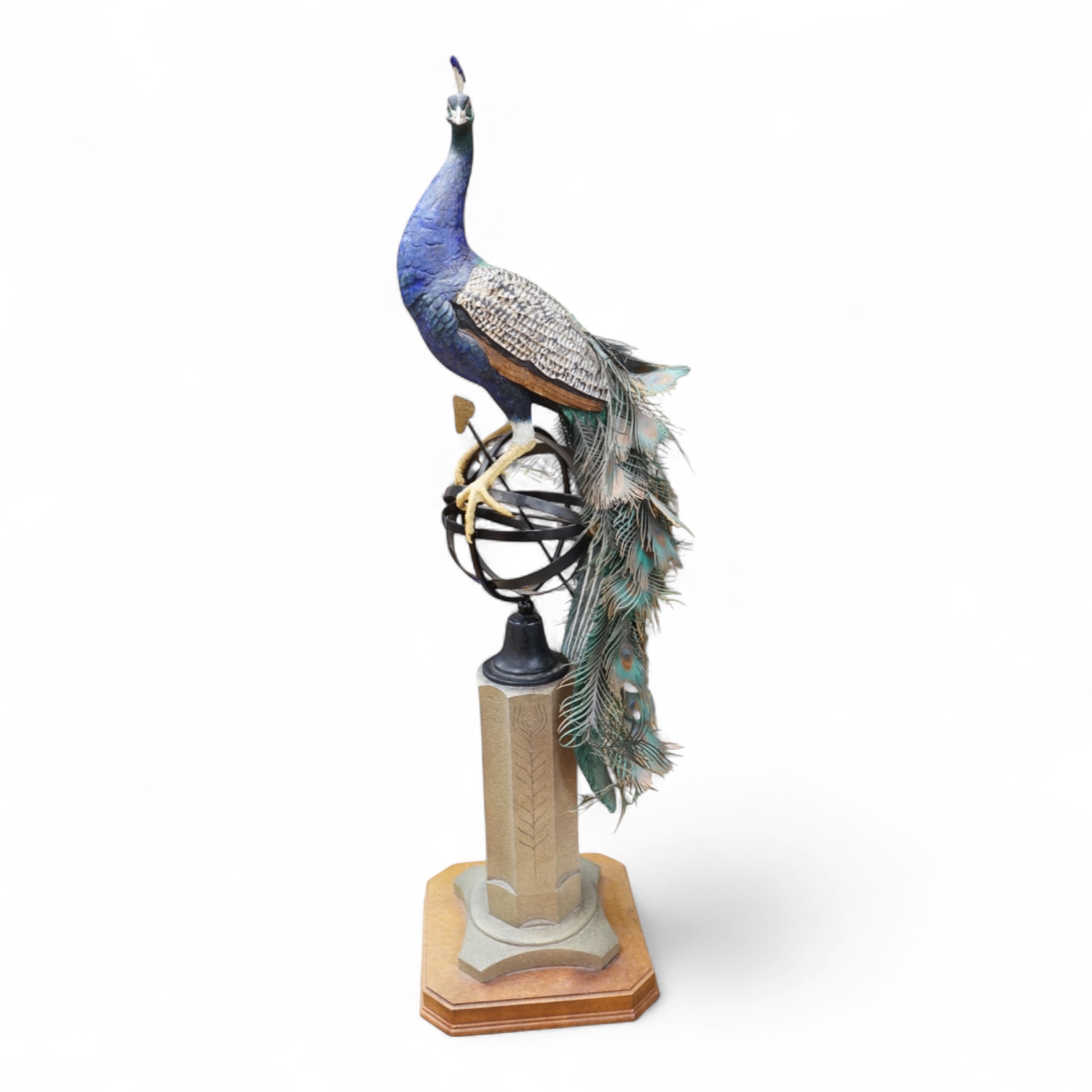 A large Border Fine Arts Regal Splendour Peacock, 77cm